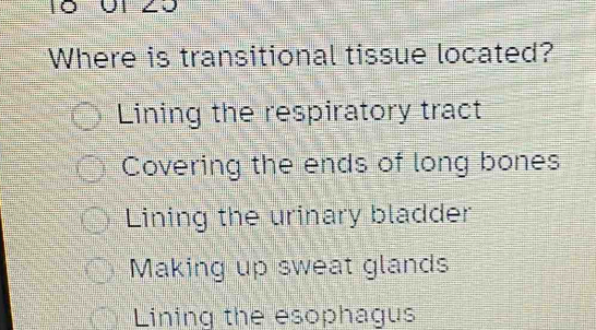 Where is transitional tissue located?
Lining the respiratory tract
Covering the ends of long bones
Lining the urinary bladder
Making up sweat glands
Lining the esophagus