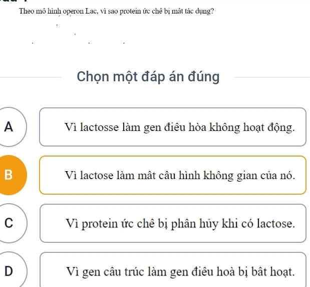 Theo mô hình operon Lac, vì sao protein ức chê bị mất tác dụng?
Chọn một đáp án đúng
A Vì lactosse làm gen điêu hòa không hoạt động.
B Vì lactose làm mật câu hình không gian của nó.
C Vì protein ức chê bị phân hủy khi có lactose.
D Vì gen câu trúc làm gen điều hoà bị bật hoạt.