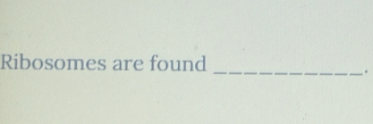 Ribosomes are found 
_.