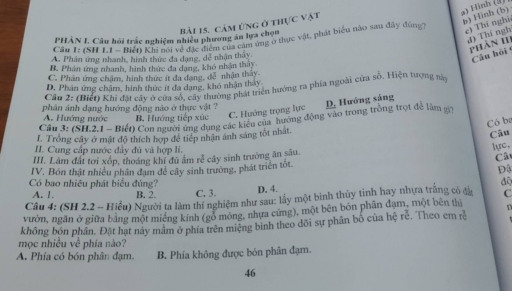 a) Hình (a) 
bài 15. cảm ứng ở thực vật
b) Hình (b)
c) Thí nghi
d) Thí ngh
PHÀN I. Câu hỏi trắc nghiệm nhiều phương án lựa chọn
Câu 1: (SH 1.1 ~ Biết) Khi nói về đặc điểm của cảm ứng ở thực vật, phát biểu nào sau đây đúng?
phÀN III
A. Phản ứng nhanh, hình thức đa dạng, dễ nhận thấy.
Câu hỏi !
B. Phản ứng nhanh, hình thức đa dạng, khó nhận thấy.
C. Phản ứng chậm, hình thức ít đa dạng, dễ nhận thấy.
D. Phản ứng chậm, hình thức ít đa dạng, khó nhận thấy.
Câu 2: (Biết) Khi đặt cây ở cửa sổ, cây thường phát triển hướng ra phía ngoài cửa sổ. Hiện tượng này
phản ánh dạng hướng động nào ở thực vật ?
D. Hướng sáng
A. Hướng nước B. Hướng tiếp xúc C. Hướng trọng lực
Câu 3: (SH.2.1 - Biết) Con người ứng dụng các kiểu của hướng động vào trong trồng trọt để làm gì?
Có ba
I. Trồng cây ở mật độ thích hợp để tiếp nhận ánh sáng tốt nhất.
Câu
II. Cung cấp nước đầy đủ và hợp lí.
lực,
III. Làm đất tơi xốp, thoáng khí đủ ẩm rễ cây sinh trưởng ăn sâu.
Câu
IV. Bón thật nhiều phân đạm để cây sinh trưởng, phát triển tốt.
Đậ
Có bao nhiêu phát biểu đúng? độ
A. 1. B. 2. C. 3.
D. 4.
Câu 4: (SH 2.2 - Hiểu) Người ta làm thí nghiệm như sau: lấy một bình thủy tinh hay nhựa trắng có đất C
vườn, ngăn ở giữa bằng một miếng kính (gỗ mỏng, nhựa cứng), một bên bón phân đạm, một bên thì
n
không bón phân. Đặt hạt nảy mầm ở phía trên miệng bình theo dõi sự phân bố của hệ rễ. Theo em rễ
mọc nhiều về phía nào?
A. Phía có bón phân đạm. B. Phía không được bón phân đạm.
46