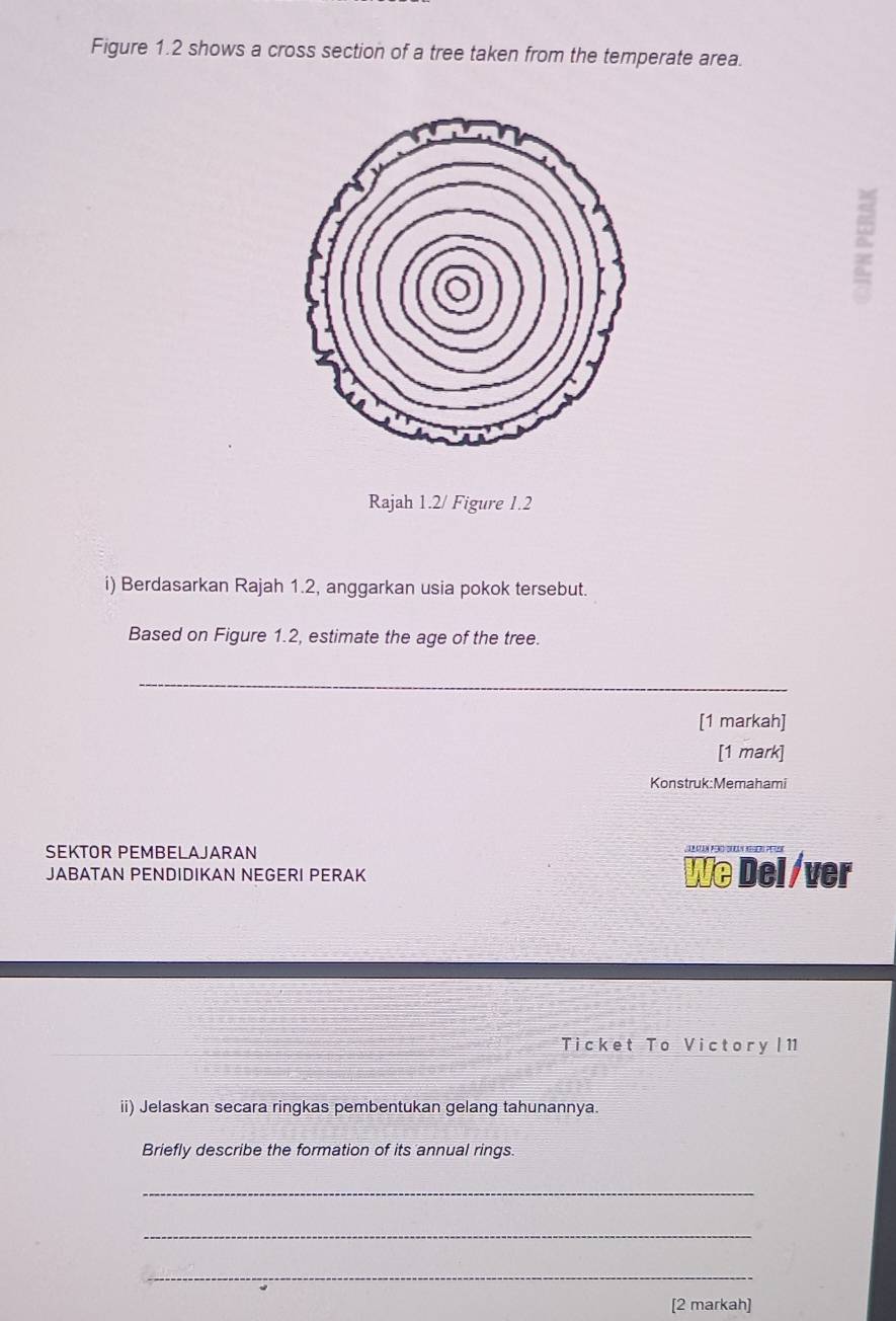 Figure 1.2 shows a cross section of a tree taken from the temperate area. 
Rajah 1.2/ Figure 1.2 
i) Berdasarkan Rajah 1.2, anggarkan usia pokok tersebut. 
Based on Figure 1.2, estimate the age of the tree. 
_ 
[1 markah] 
[1 mark] 
Konstruk:Memahami 
SEKTOR PEMBELAJARAN 
JABATAN PENDIDIKAN NEGERI PERAK We Del / ver 
Ticket To Victory |11 
ii) Jelaskan secara ringkas pembentukan gelang tahunannya. 
Briefly describe the formation of its annual rings. 
_ 
_ 
_ 
[2 markah]