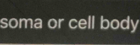 soma or cell body