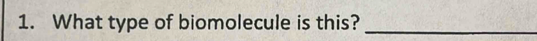 What type of biomolecule is this?_