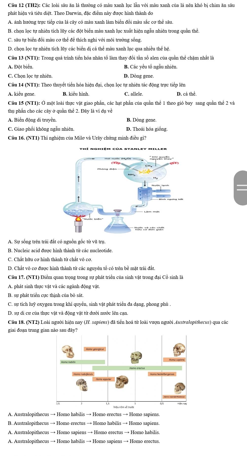 (TH2): Các loài sâu ăn lá thường có màu xanh lục lẫn với màu xanh của lá nên khó bị chim ăn sâu
phát hiện và tiêu diệt. Theo Darwin, đặc điểm này được hình thành do
A. ảnh hưởng trực tiếp của lá cây có màu xanh làm biển đồi màu sắc cơ thể sâu.
B. chọn lọc tự nhiên tích lũy các đột biển màu xanh lục xuất hiện ngẫu nhiên trong quần thề.
C. sâu tự biến đồi màu cơ thể để thích nghi với môi trường sống.
D. chọn lọc tự nhiên tích lũy các biến dị cá thể màu xanh lục qua nhiều thế hệ.
Câu 13 (NT1): Trong quá trình tiến hóa nhân tố làm thay đổi tần số alen của quần thể chậm nhất là
A. Đột biến. B. Các yếu tố ngẫu nhiên.
C. Chọn lọc tự nhiên. D. Dòng gene.
Câu 14 (NT1): Theo thuyết tiến hóa hiện đại, chọn lọc tự nhiên tác động trực tiếp lên
A. kiểu gene. B. kiểu hình. C. allele. D. cá thể.
Câu 15 (NT1): Ở một loài thực vật giao phần, các hạt phần của quần thể 1 theo gió bay sang quần thể 2 và
thụ phần cho các cây ở quần thể 2. Đây là ví dụ về
A. Biến động di truyền. B. Dòng gene.
C. Giao phối không ngẫu nhiên. D. Thoái hóa giống.
Câu 16. (NT1) Thí nghiệm của Milơ và Urây chứng minh điều gì?
A. Sự sống trên trái đất có nguồn gốc từ vũ trụ.
B. Nucleic acid được hình thành từ các nucleotide.
C. Chất hữu cơ hình thành từ chất vô cơ.
D. Chất vô cơ được hình thành từ các nguyên tố có trên bề mặt trái đất.
Câu 17. (NT1) Điểm quan trọng trong sự phát triển của sinh vật trong đại Cổ sinh là
A. phát sinh thực vật và các ngành động vật.
B. sự phát triển cực thịnh của bò sát.
C. sự tích luỹ oxygen trong khí quyền, sinh vật phát triển đa dạng, phong phú .
D. sự di cư của thực vật và động vật từ dưới nước lên cạn.
Câu 18. (NT2) Loài người hiện nay (H. sapiens) đã tiển hoá từ loài vượn người Australopithecus) qua các
giai đoạn trung gian nào sau đây?
A. Australopithecus → Homo habilis → Homo erectus → Homo sapiens.
B. Australopithecus → Homo erectus → Homo habilis → Homo sapiens.
A. Australopithecus → Homo sapiens → Homo erectus → Homo habilis.
A. Australopithecus → Homo habilis → Homo sapiens → Homo erectus.