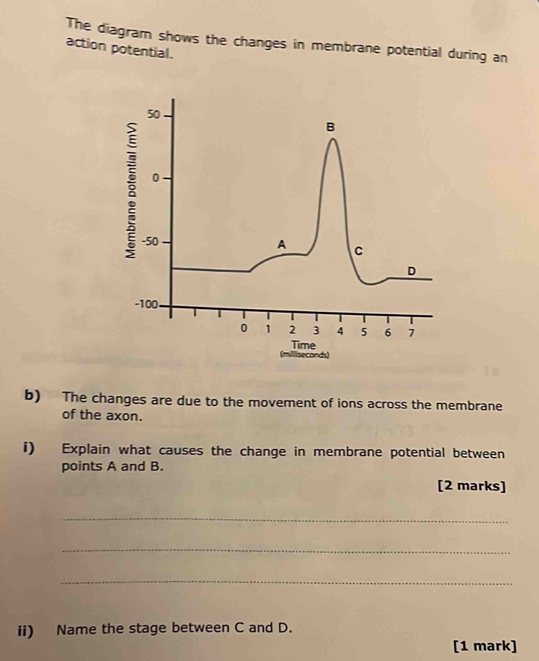 The diagram shows the changes in membrane potential during an 
action potential. 
(milliseconds) 
b) The changes are due to the movement of ions across the membrane 
of the axon. 
i) Explain what causes the change in membrane potential between 
points A and B. 
[2 marks] 
_ 
_ 
_ 
ii) Name the stage between C and D. 
[1 mark]