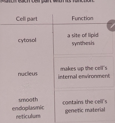 Match each cell part with its function. 
t