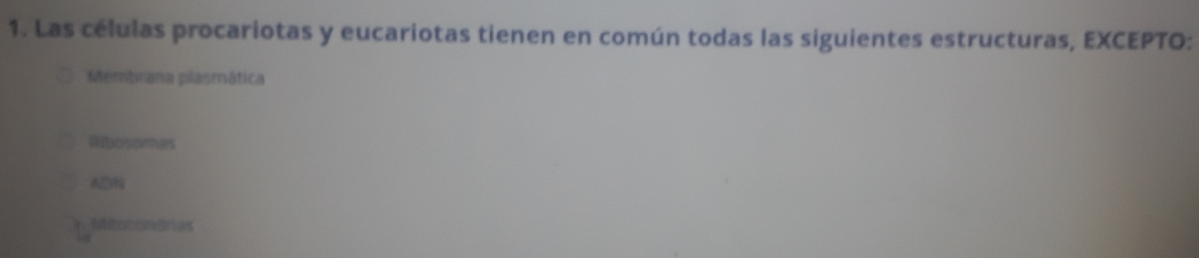 Las células procariotas y eucariotas tienen en común todas las siguientes estructuras, EXCEPTO:
Membrana plasmática
Ribosomas
AD
Mitorongrias