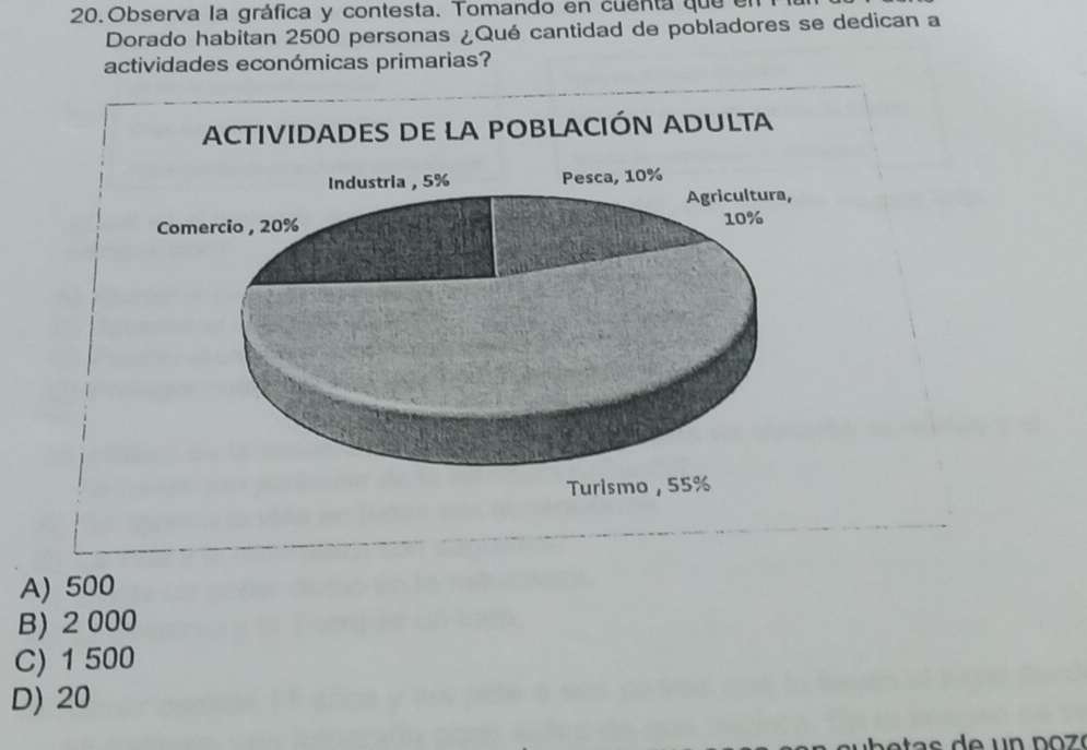 Observa la gráfica y contesta. Tomando en cuenta que en
Dorado habitan 2500 personas ¿Qué cantidad de pobladores se dedican a
actividades económicas primarias?
ACTIVIDADES DE LA POBLACIÓN ADULTa
Industria , 5% Pesca, 10%
Agricultura,
Comercio , 20%
10%
Turlsmo , 55%
A) 500
B) 2 000
C) 1 500
D) 20