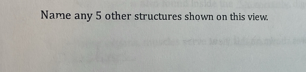 Name any 5 other structures shown on this view.