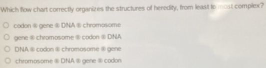 Which flow chart correctly organizes the structures of heredity, from least to most complex?
codon ⑧ gene ® DNA ® chromosome
gene ® chromosome ® codon ® DNA
DNA® codon ® chromosome ® gene
chromosome ® DNA ® gene ® codon