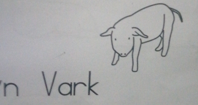 Vark