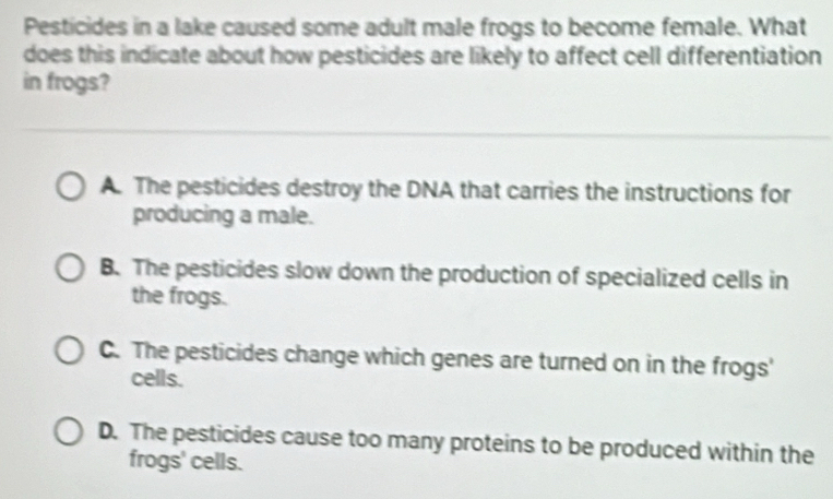 Pesticides in a lake caused some adult male frogs to become female. What
does this indicate about how pesticides are likely to affect cell differentiation
in frogs?
A. The pesticides destroy the DNA that carries the instructions for
producing a male.
B. The pesticides slow down the production of specialized cells in
the frogs.
C. The pesticides change which genes are turned on in the frogs'
cells.
D. The pesticides cause too many proteins to be produced within the
frogs' cells.