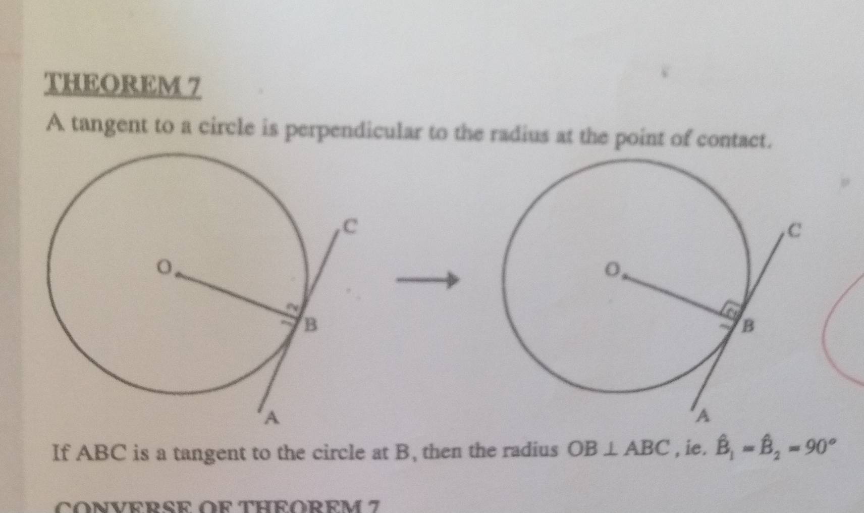 THEOREM 7 
A tangent to a circle is perpendicular to the radius at the point of contact. 
If ABC is a tangent to the circle at B, then the radius OB⊥ ABC , ie. hat B_1=hat B_2=90°
CONVERSE OR THEOREM 7