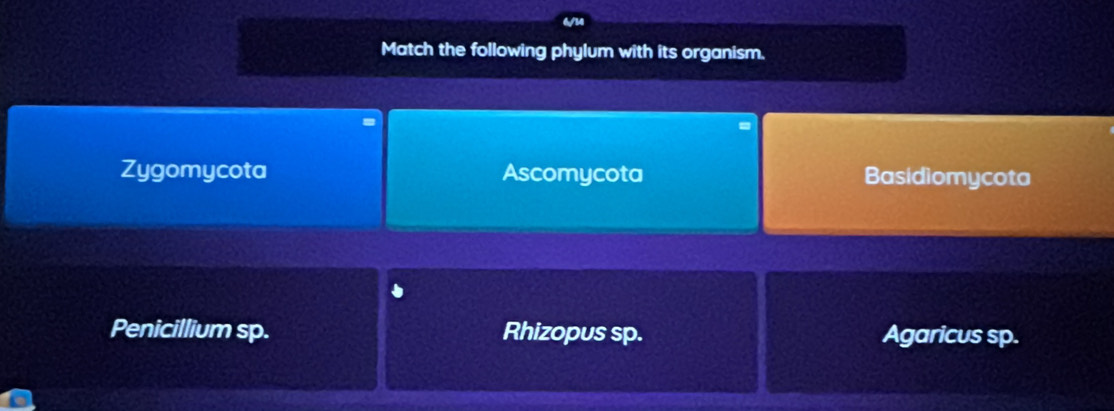 6/14
Match the following phylum with its organism.
Zygomycota Ascomycota Basidiomycota
Penicillium sp. Rhizopus sp. Agaricus sp.