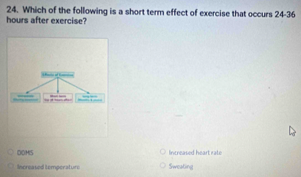 Which of the following is a short term effect of exercise that occurs 24-36
hours after exercise?
DOMS Increased heart rate
Increased temperature Sweating