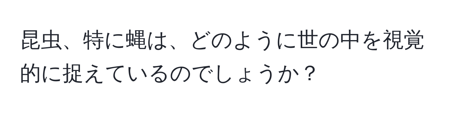 昆虫、特に蝿は、どのように世の中を視覚的に捉えているのでしょうか？