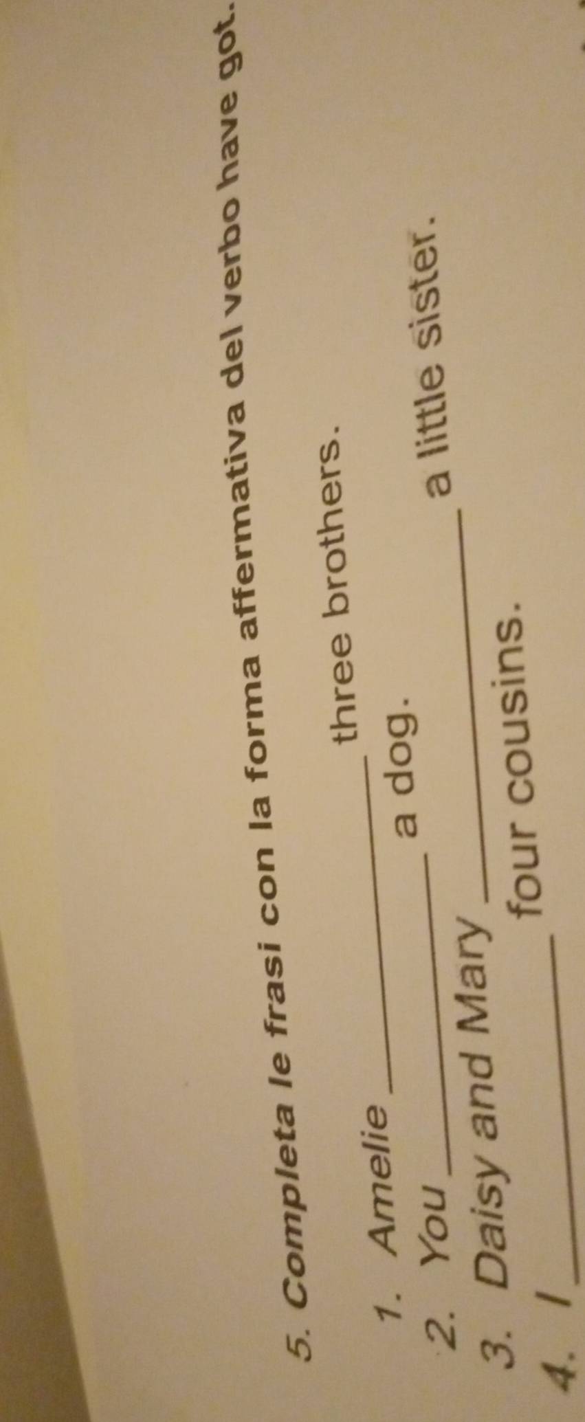 Completa le frasi con la forma affermativa del verbo have got. 
three brothers. 
1. Amelie 
_ 
a dog. 
_ 
2. You_ 
a little sister. 
3. Daisy and Mary 
4. 1_ four cousins.