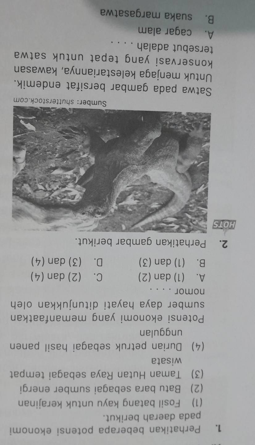 Perhatikan beberapa potensi ekonomi
pada daerah berikut.
(1) Fosil batang kayu untuk kerajinan
(2) Batu bara sebagai sumber energi
(3) Taman Hutan Raya sebagai tempat
wisata
(4) Durian petruk sebagai hasil panen
unggulan
Potensi ekonomi yang memanfaatkan
sumber daya hayati ditunjukkan oleh
nomor . . . .
A. (1) dan (2) C. (2)dan (4)
B. (1) dan (3) D. (3) dan (4)
2. Perhatikan gambar berikut.
HO
Sumber: shutterstock.com
Satwa pada gambar bersifat endemik.
Untuk menjaga kelestariannya, kawasan
konservasi yang tepat untuk satwa
tersebut adalah . . . .
A. cagar alam
B. suaka margasatwa