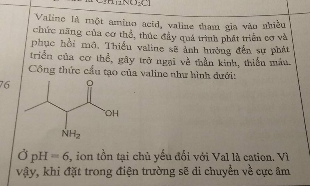 12NO_2 CI
Valine là một amino acid, valine tham gia vào nhiều
chức năng của cơ thể, thúc đầy quá trình phát triển cơ và
phục hồi mô. Thiếu valine sẽ ảnh hưởng đến sự phát
triển của cơ thể, gây trở ngại về thần kinh, thiếu máu.
Công thức cấu tạo của valine như hình dưới:
76
vector OpH=6 , ion tồn tại chủ yếu đối với Val là cation. Vì
vậy, khi đặt trong điện trường sẽ di chuyển về cực âm