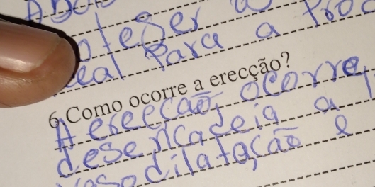 Como ocorre a erecção?