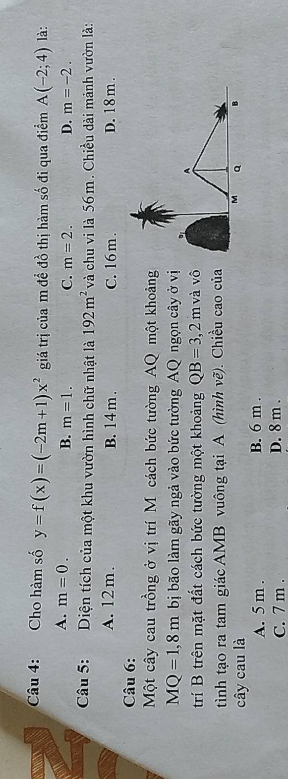 Cho hàm số y=f(x)=(-2m+1)x^2 giá trị của m đề đồ thị hàm số đi qua điểm A(-2;4) là:
A. m=0. B. m=1. C. m=2. D. m=-2. 
Câu 5: Diện tích của một khu vườn hình chữ nhật là 192m^2 và chu vi là 56 m. Chiều dài mảnh vườn là:
A. 12m. B. 14 m. C. 16 m. D. 18 m.
Câu 6:
Một cây cau trồng ở vị trí M cách bức tường AQ một khoảng
MQ=1,8m bị bão làm gãy ngả vào bức tường AQ ngọn cây ở vị
trí B trên mặt đất cách bức tường một khoảng QB=3,2mva vô
tình tạo ra tam giác AMB vuông tại A (hình vẽ). Chiều cao của
cây cau là
A. 5 m. B. 6 m.
C. 7 m. D. 8 m.