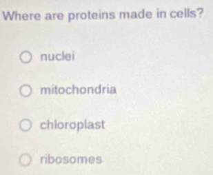 Where are proteins made in cells?
nuclei
mitochondria
chioroplast
ribosomes