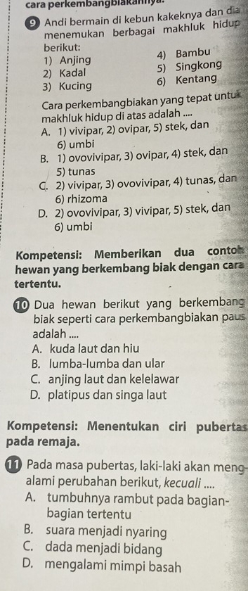 cara perkembangbiakan y u
9 Andi bermain di kebun kakeknya dan dia
menemukan berbagai makhluk hidup 
berikut:
1) Anjing
4) Bambu
2) Kadal 5) Singkong
3) Kucing 6) Kentang
Cara perkembangbiakan yang tepat untur
makhluk hidup di atas adalah ....
A. 1) vivipar, 2) ovipar, 5) stek, dan
6) umbi
B. 1) ovovivipar, 3) ovipar, 4) stek, dan
5) tunas
C. 2) vivipar, 3) ovovivipar, 4) tunas, dan
6) rhizoma
D. 2) ovovivipar, 3) vivipar, 5) stek, dan
6) umbi
Kompetensi: Memberikan dua conto
hewan yang berkembang biak dengan cara
tertentu.
1 Dua hewan berikut yang berkemban
biak seperti cara perkembangbiakan paus
adalah ....
A. kuda laut dan hiu
B. lumba-lumba dan ular
C. anjing laut dan kelelawar
D. platipus dan singa laut
Kompetensi: Menentukan ciri pubertas
pada remaja.
11 Pada masa pubertas, laki-laki akan meng-
alami perubahan berikut, kecuali ....
A. tumbuhnya rambut pada bagian-
bagian tertentu
B. suara menjadi nyaring
C. dada menjadi bidang
D. mengalami mimpi basah