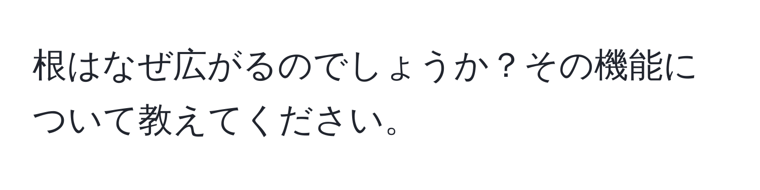 根はなぜ広がるのでしょうか？その機能について教えてください。