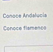 Conoce Andalucía 
Conoce flamenco