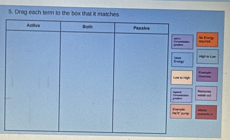 Drag each term to the box that it mat