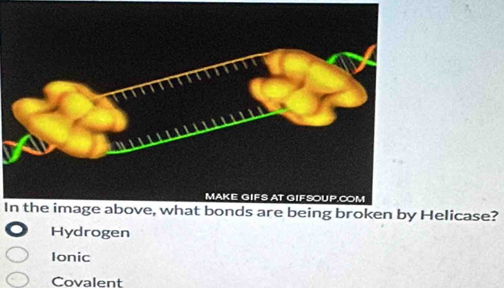 In the image above, what bonds are being broken by Helicase?
Hydrogen
Ionic
Covalent