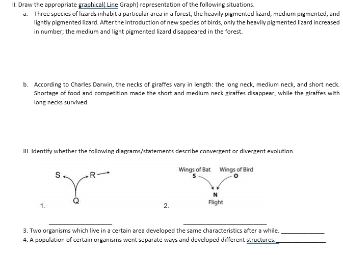 Draw the appropriate graphical( Line Graph) representation of the following situations. 
a. Three species of lizards inhabit a particular area in a forest; the heavily pigmented lizard, medium pigmented, and 
lightly pigmented lizard. After the introduction of new species of birds, only the heavily pigmented lizard increased 
in number; the medium and light pigmented lizard disappeared in the forest. 
b. According to Charles Darwin, the necks of giraffes vary in length: the long neck, medium neck, and short neck. 
Shortage of food and competition made the short and medium neck giraffes disappear, while the giraffes with 
long necks survived. 
III. Identify whether the following diagrams/statements describe convergent or divergent evolution. 
Wings of Bat Wings of Bird 
s R
S 0
N 
1. 
Q 
2. Flight 
_ 
_ 
3. Two organisms which live in a certain area developed the same characteristics after a while._ 
4. A population of certain organisms went separate ways and developed different structures_