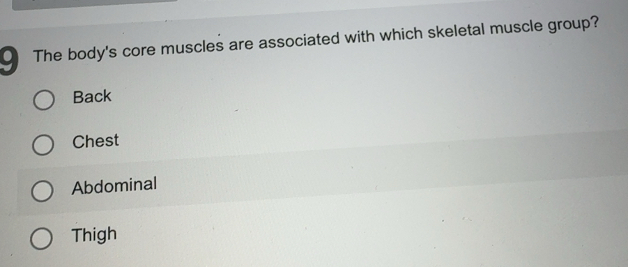 Solved: The body's core muscles are associated with which skeletal ...