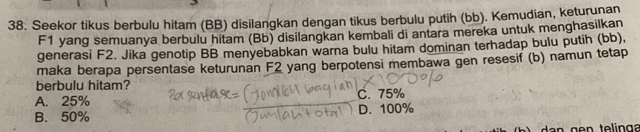 38: Seekor tikus berbulu hitam (BB) disilangkan dengan tikus berbulu putih (bb). Kemudian, keturunan
F1 yang semuanya berbulu hitam (Bb) disilangkan kembali di antara mereka untuk menghasilkan
generasi F2. Jika genotip BB menyebabkan warna bulu hitam dominan terhadap bulu putih (bb),
maka berapa persentase keturunan F2 yang berpotensi membawa gen resesif (b) namun tetap
berbulu hitam?
A. 25% C. 75%
B. 50% D. 100%