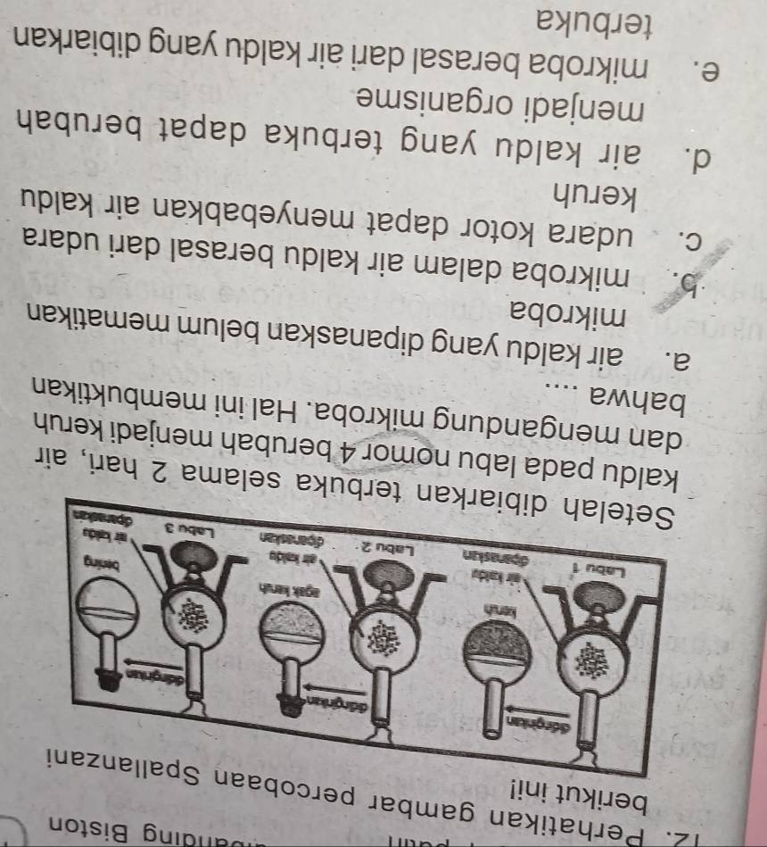 pat
B nding Biston
12. Perhatikan gambar percob
berikut ini!
an terbuka selama 2 hari, air
kaldu pada labu nomor 4 berubah menjadi keruh
dan mengandung mikroba. Hal ini membuktikan
bahwa ....
a. air kaldu yang dipanaskan belum mematikan
mikroba
b. mikroba dalam air kaldu berasal dari udara
c. udara kotor dapat menyebabkan air kaldu
keruh
d. air kaldu yang terbuka dapat berubah
menjadi organisme
e. mikroba berasal dari air kaldu yang dibiarkan
terbuka