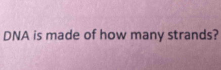 DNA is made of how many strands?