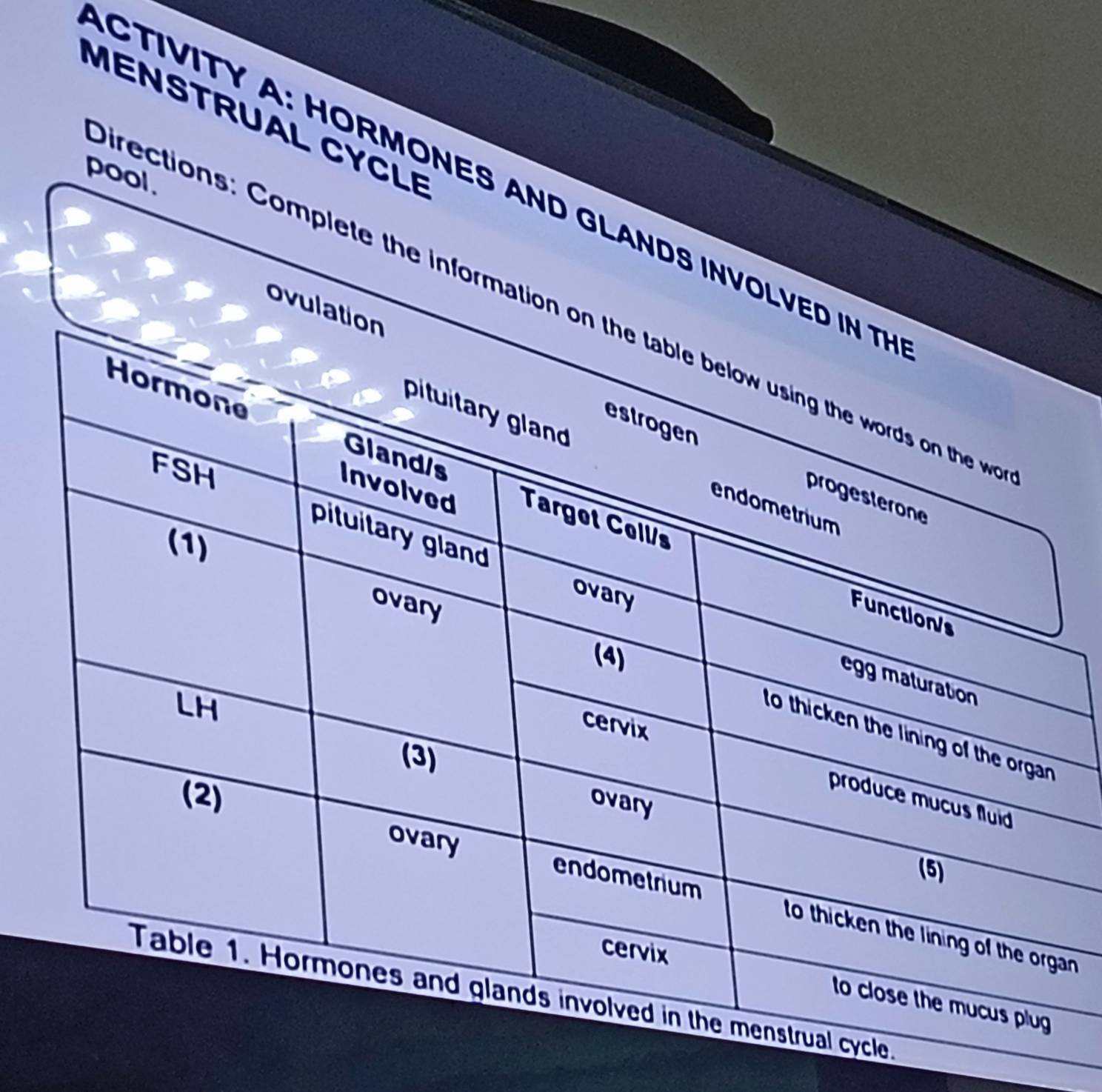 MENSTRUAL CYCLE 
pool 
CTIVITY A: HORMONES AND GLANDS INVOLV 
irections: Complete the information 
ovul 
an 
.