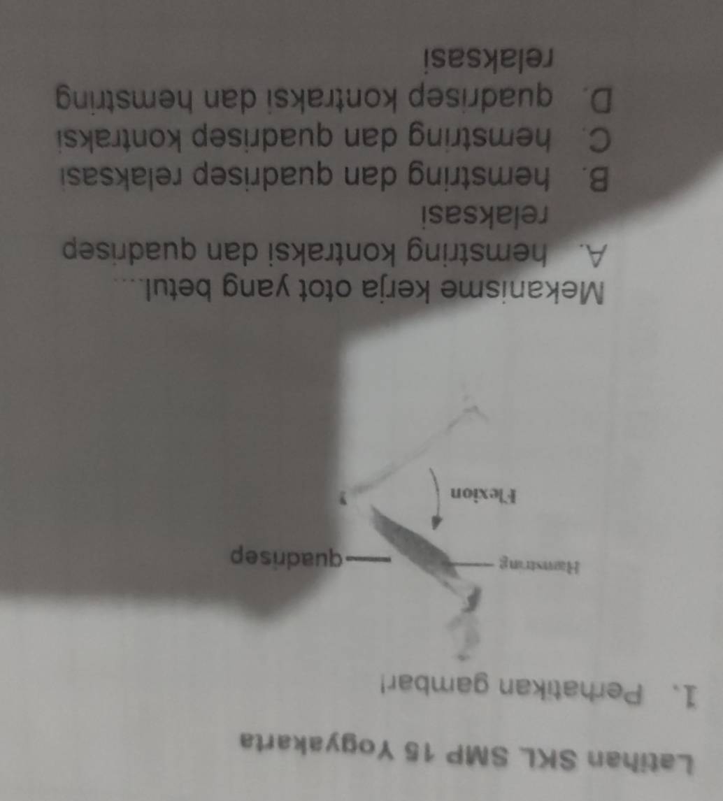 Latihan SKL SMP 15 Yogyakarta
1. Perhatikan gambar!
Mekanisme kerja otot yang betul....
A. hemstring kontraksi dan quadrisep
relaksasi
B. hemstring dan quadrisep relaksasi
C. hemstring dan quadrisep kontraksi
D. quadrisep kontraksi dan hemstring
relaksasi