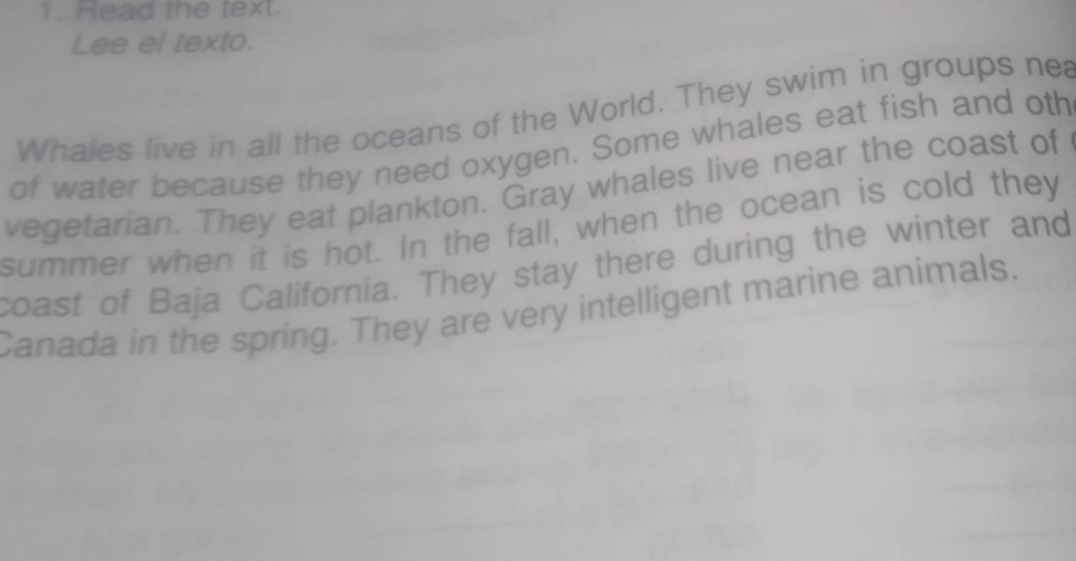 Read the text. 
Lee el texto. 
Whales live in all the oceans of the World. They swim in groups nea 
of water because they need oxygen. Some whales eat fish and oth 
vegetarian. They eat plankton. Gray whales live near the coast of 
summer when it is hot. In the fall, when the ocean is cold they 
coast of Baja California. They stay there during the winter and 
Canada in the spring. They are very intelligent marine animals.