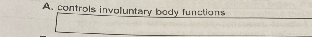 controls involuntary body functions