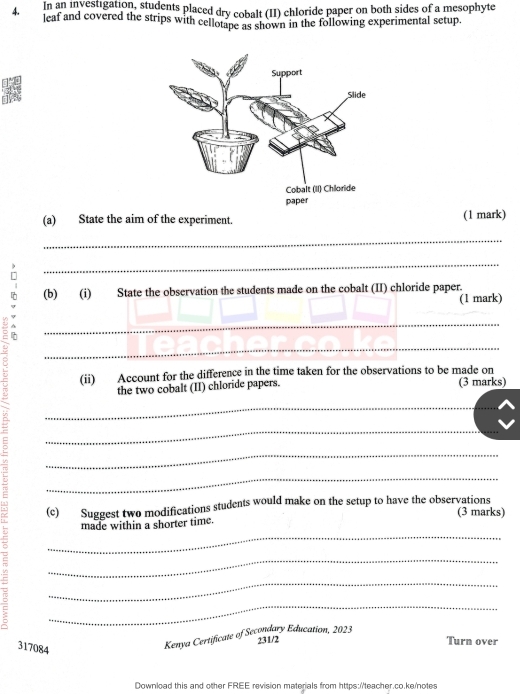 In an investigation, students placed dry cobalt (II) chloride paper on both sides of a mesophyte 
4. leaf and covered the strips with cellotape as shown in the following experimental setup. 
(a) State the aim of the experiment. (1 mark) 
_ 
_ 
(b) (i) State the observation the students made on the cobalt (II) chloride paper. 
(1 mark) 
_ 
_ 
(ii) Account for the difference in the time taken for the observations to be made on (3 marks) 
the two cobalt (II) chloride papers. 
_ 
_ 
_ 
_ 
(c) Suggest two modifications students would make on the setup to have the observations 
_ 
made within a shorter time. (3 marks) 
_ 
_ 
_ 
231/2 Turn over
317084
Kenya Certificate of Secondary Education, 2023
Download this and other FREE revision materials from https://teacher.co.ke/notes