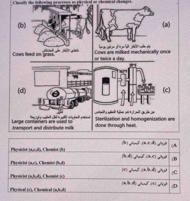 Classify the following processes as physical or chemical changes.
(b)(a)
        
Cows feed on grass. ows are milked mechanically once
or twice a day.
(d) (c)
      
Large containers are used to Sterilization and homogenization are
.transport and distribute milk done through heat.