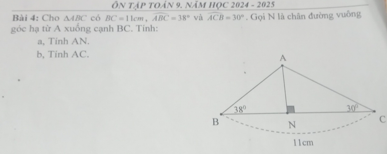 ÔN tập tOáN 9. năm học 2024 - 2025
Bài 4: Cho △ ABC có BC=11cm,widehat ABC=38° và widehat ACB=30°. Gọi N là chân đường vuông
góc hạ từ A xuống cạnh BC. Tính:
a, Tính AN.
b, Tính AC.
C