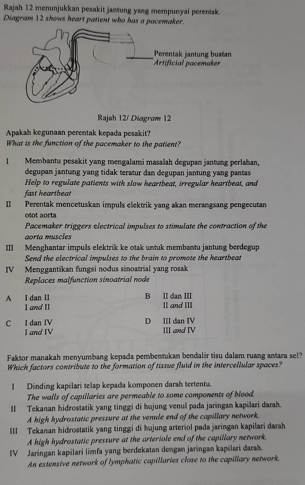 Rajah 12 menunjukkan pesakit jantung yang mempunyai perentak.
Diagram 12 shows heart patient who has a pacemaker.
Rajah 12/ Diagram 12
Apakah kegunaan perentak kepada pesakit?
What is the function of the pacemaker to the patient?
I Membantu pesakit yang mengalami masalah degupan jantung perlahan,
degupan jantung yang tidak teratur dan degupan jantung yang pantas
Help to regulate patients with slow heartbeat, irregular heartbeat, and
fast heartbeat
II Perentak mencetuskan impuls elektrik yang akan merangsang pengecutan
otot aorta
Pacemaker triggers electrical impulses to stimulate the contraction of the
aorta muscles
III Menghantar impuls elektrik ke otak untuk membantu jantung berdegup
Send the electrical impulses to the brain to promote the heartbeat
IV Menggantikan fungsi nodus sinoatrial yang rosak
Replaces malfunction sinoatrial node
A I dan II B II dan III
I and II II and III
C I dan IV D III dan IV
I and IV III and IV
Faktor manakah menyumbang kepada pembentukan bendalir tisu dalam ruang antara sel?
Which factors contribute to the formation of tissue fluid in the intercellular spaces?
I Dinding kapilari telap kepada komponen darah tertentu.
The walls of capillaries are permeable to some components of blood.
II Tekanan hidrostatik yang tinggi di hujung venul pada jaringan kapilari darah.
A high hydrostatic pressure at the venule end of the capillary network.
III Tekanan hidrostatik yang tinggi di hujung arteriol pada jaringan kapilari darah
A high hydrostatic pressure at the arteriole end of the capillary network.
IV Jaringan kapilari limfa yang berdekatan dengan jaringan kapilari darah.
An extensive network of lymphatic capillaries close to the capillary network.