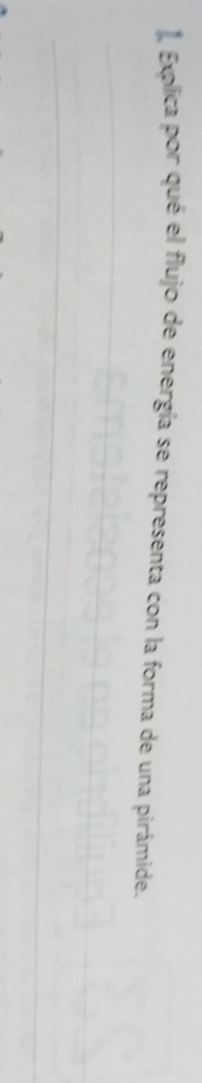 Explica por qué el flujo de energía se representa con la forma de una pirámide. 
_ 
_ 
_
