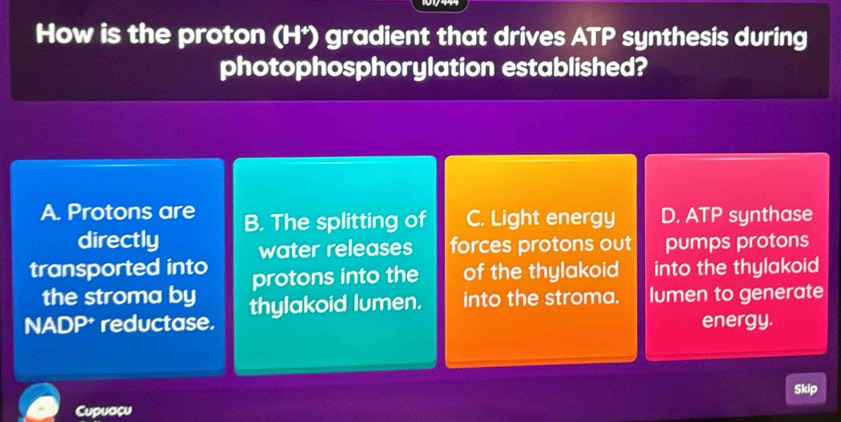 How is the proton (H*) gradient that drives ATP synthesis during
photophosphorylation established?
A. Protons are B. The splitting of C. Light energy D. ATP synthase
directly water releases forces protons out pumps protons
transported into protons into the of the thylakoid into the thylakoid
the stroma by
NADP* reductase. thylakoid lumen. into the stroma. lumen to generate
energy.
Skip
Cupuaçu