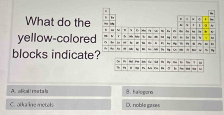 What do the 
yellow-colored
blocks indicate?
A. alkali metals B. halogens
C. alkaline metals D. noble gases