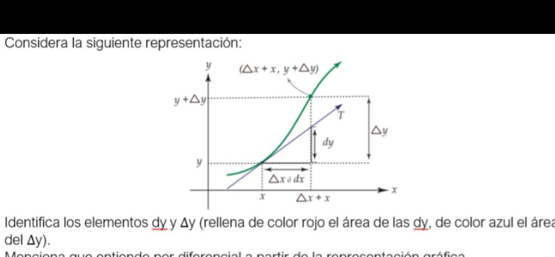 Considera la siguiente representación:
Identifica los elementos dy y Δy (rellena de color rojo el área de las dy, de color azul el área
del Δy).