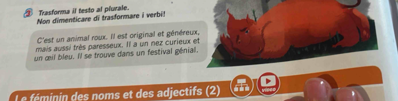 ③ Trasforma il testo al plurale. 
Non dimenticare di trasformare i verbi! 
C'est un animal roux. Il est original et généreux, 
mais aussi très paresseux. Il a un nez curieux et 
un œil bleu. Il se trouve dans un festival génial. 
Le féminin des noms et des adjectifs (2) m vídeo