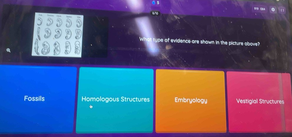 5
919 084
Ch
What type of evidence-are shown in the picture above?
Fossils Homologous Structures Embryology Vestigial Structures